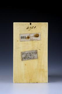 Panel, 1 register, 1 arch across (plaquette) (Back)