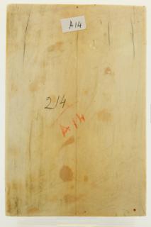 Diptych, 2 registers, 6 arches across (frise d'arcatures; colonnettes) (Back, wing, left)